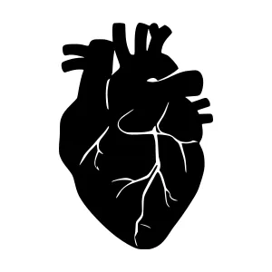 Silhouette Heart Graphic - Black on White