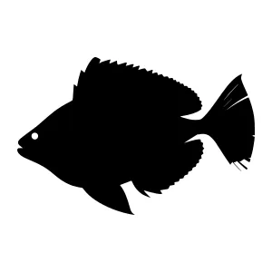 Black Fish Silhouette Vector Icon
