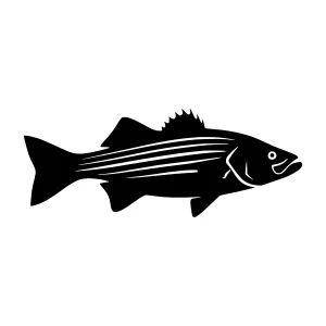 Black & White Bass Silhouette Vector