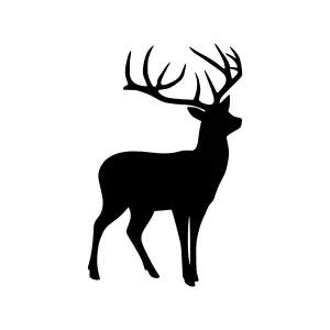 Silhouette Deer Head Graphic