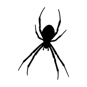 Black Spider Silhouette Vector Graphic
