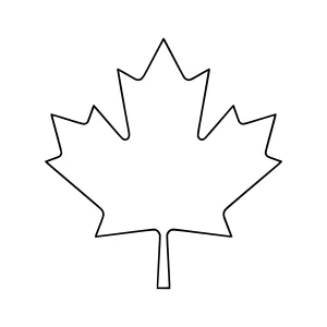 Simple Black Maple Leaf Outline