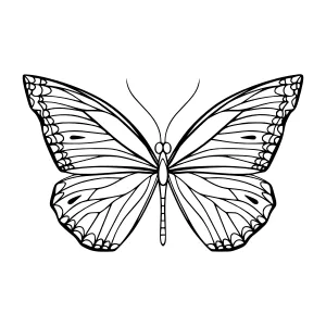 Black Butterfly Outline Vector Illustration