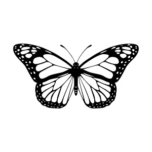 Monarch Butterfly Silhouette Black & White