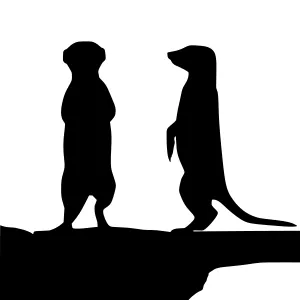 Silhouette Meerkats on Cliff Edge