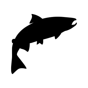 Black Trout Silhouette - Fish Graphic