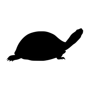 Turtle Silhouette Vector Icon