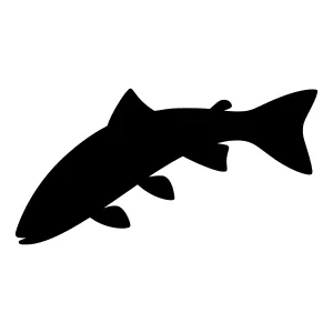 Black Trout Silhouette Vector Graphic