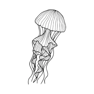 Jellyfish Line Art Illustration - Minimalist Design