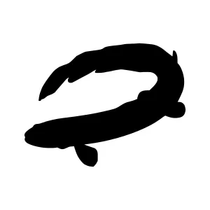 Abstract Fish Silhouette Vector Graphic