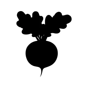 Black Radish Silhouette Vector Icon