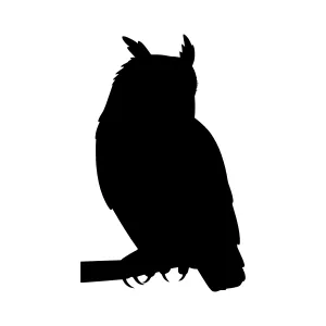 Silhouette Owl on Branch - Minimalist Vector