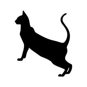 Black Cat Silhouette Vector Graphic