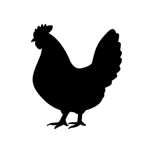 Black Chicken Silhouette Vector Illustration