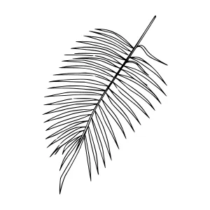 Palm Leaf Line Art Illustration