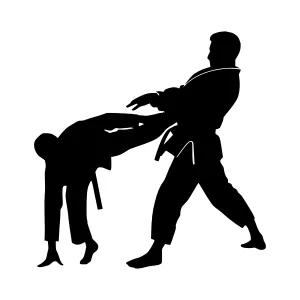 Karate Kick Silhouette - Martial Arts Vector