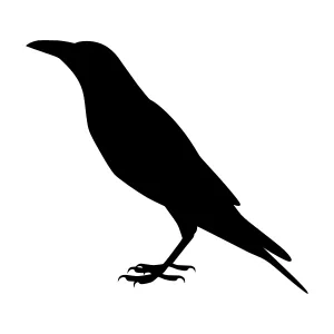 Black Crow Silhouette Vector Illustration