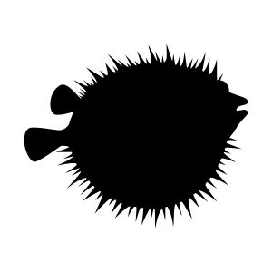 Black Flatfish Silhouette Vector Illustration