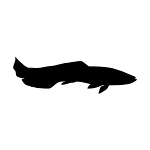Black Fish Silhouette Vector Graphic