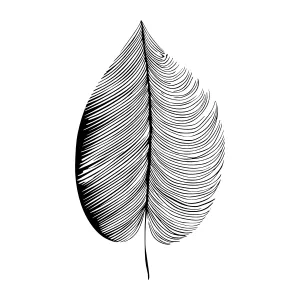 Black Line Art Leaf Illustration