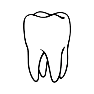 Dental Tooth Outline Icon - Minimalist Vector