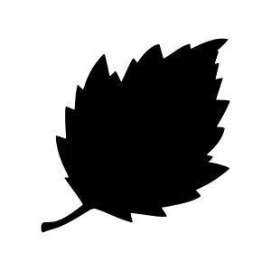 Black Leaf Silhouette Vector Icon