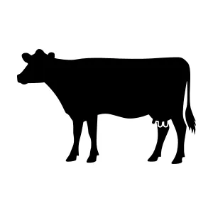 Black Cow Silhouette Vector Illustration