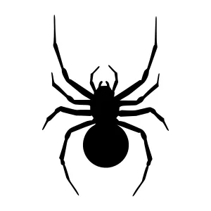Black Spider Silhouette Vector Icon