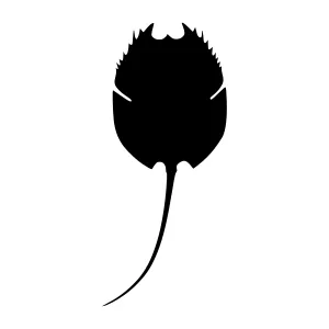 Black Leaf Silhouette Vector Graphic