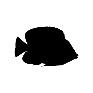 Black Fish Silhouette Vector Graphic