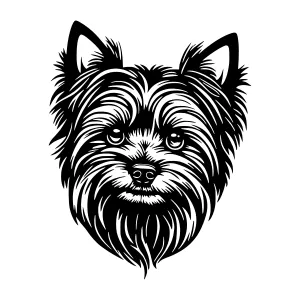 Yorkshire Terrier Silhouette - Black and White Vector