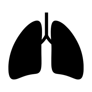 Lungs Icon - Black Silhouette Vector Illustration
