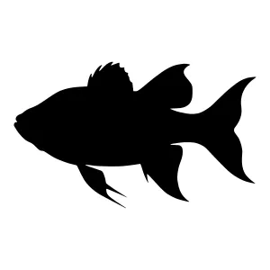 Gold Fish Silhouette Vector Illustration