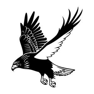 Silhouette Eagle Flying - Vector Graphic