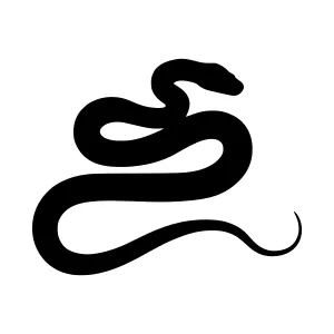 Black Snake Silhouette Vector Graphic