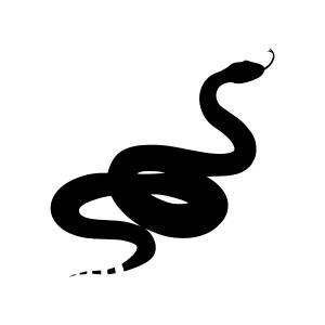 Snake Silhouette Vector Graphic