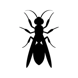 Black Silhouette Wasp Icon - Vector Illustration