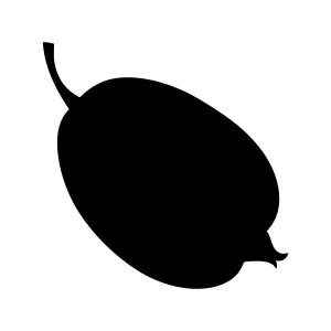 Black Quince Fruit Silhouette Vector Icon