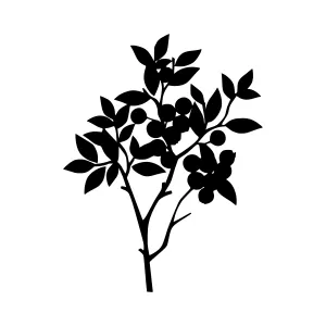 Black Branch Silhouette on White Background