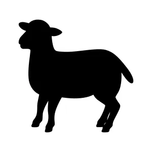 Black Sheep Silhouette Vector Illustration