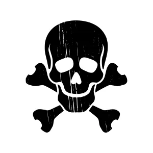 Skull and Crossbones Graphic Icon