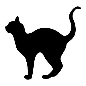Black Cat Silhouette Vector Illustration