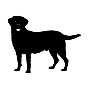 Silhouette Labrador Retriever Dog