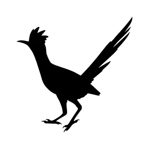 Roadrunner Silhouette Vector Graphic