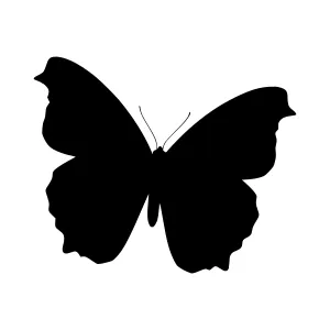 Black Butterfly Silhouette Vector Graphic