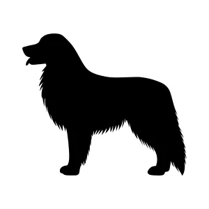 Golden Retriever Silhouette - Black Outline