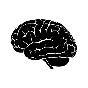 Black Brain Silhouette Vector Graphic