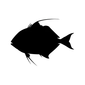 Silhouette Fish Vector Graphic