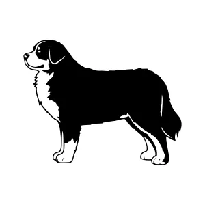 Black Silhouette Bernese Mountain Dog