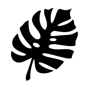 Black Monstera Leaf Silhouette
